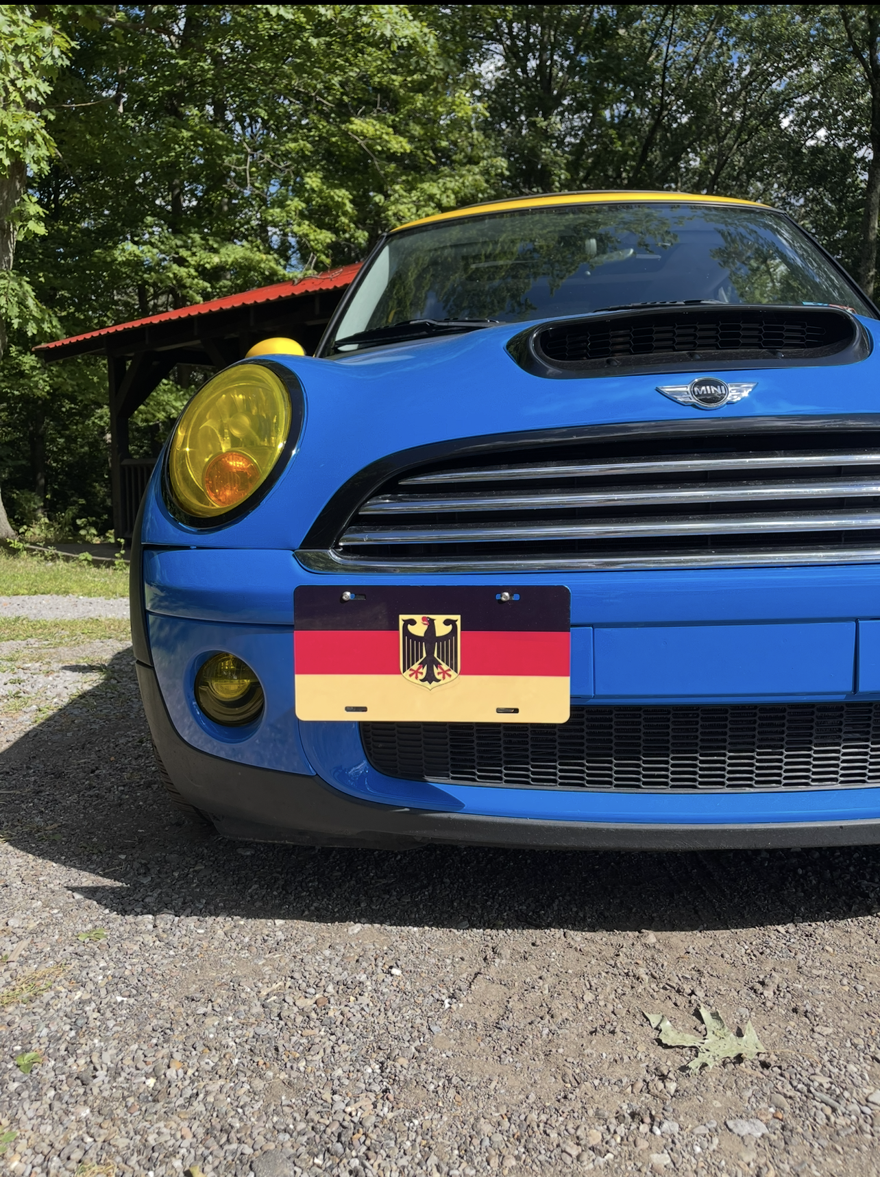 Flags