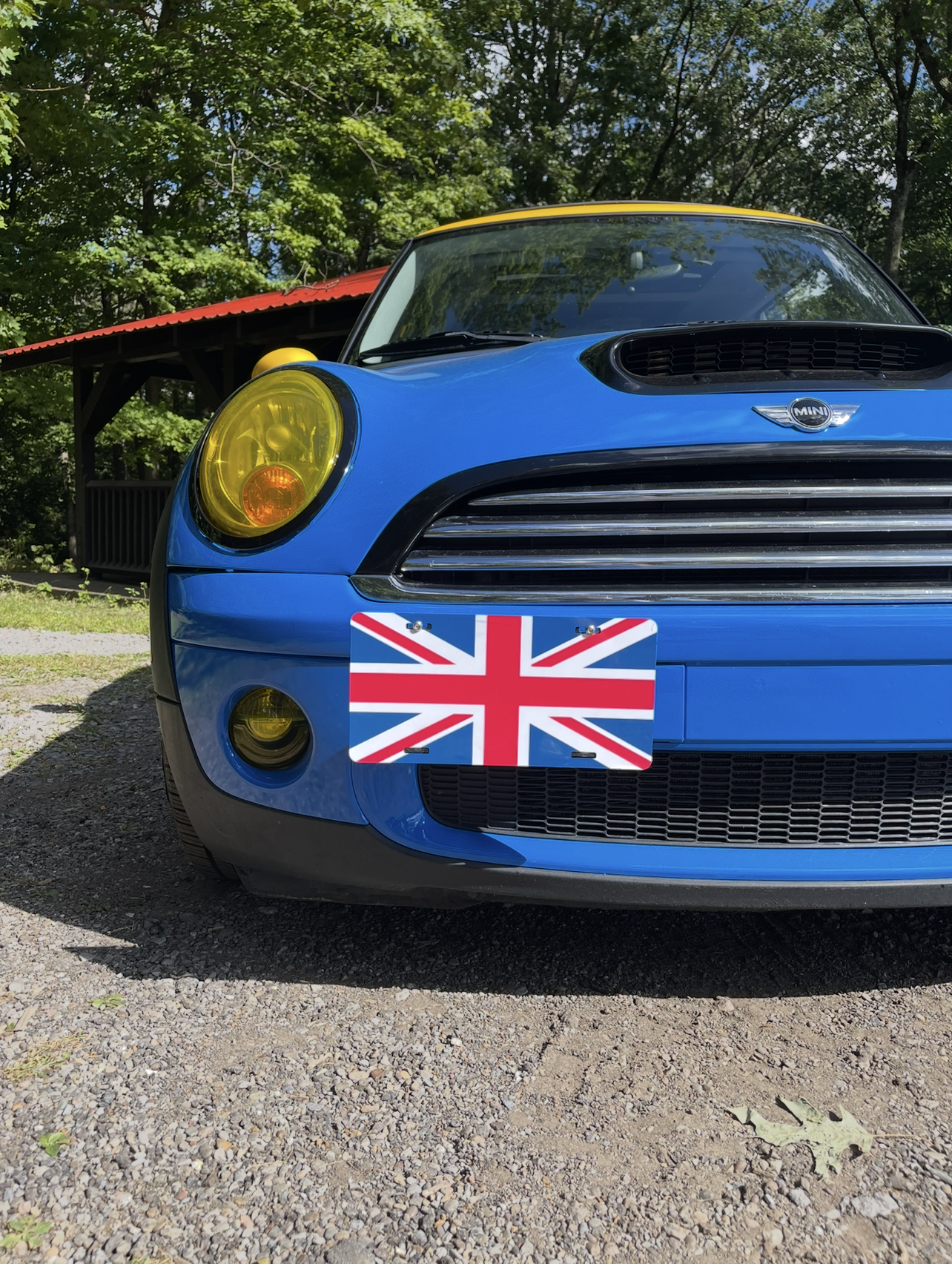 Flags