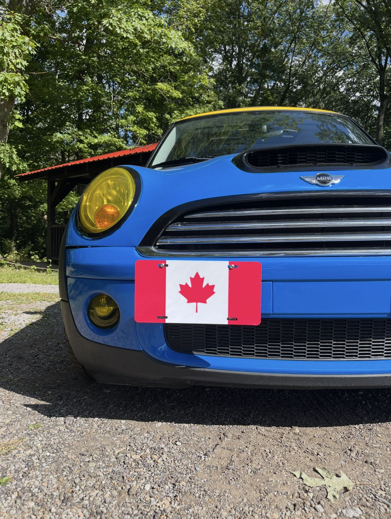 Flags