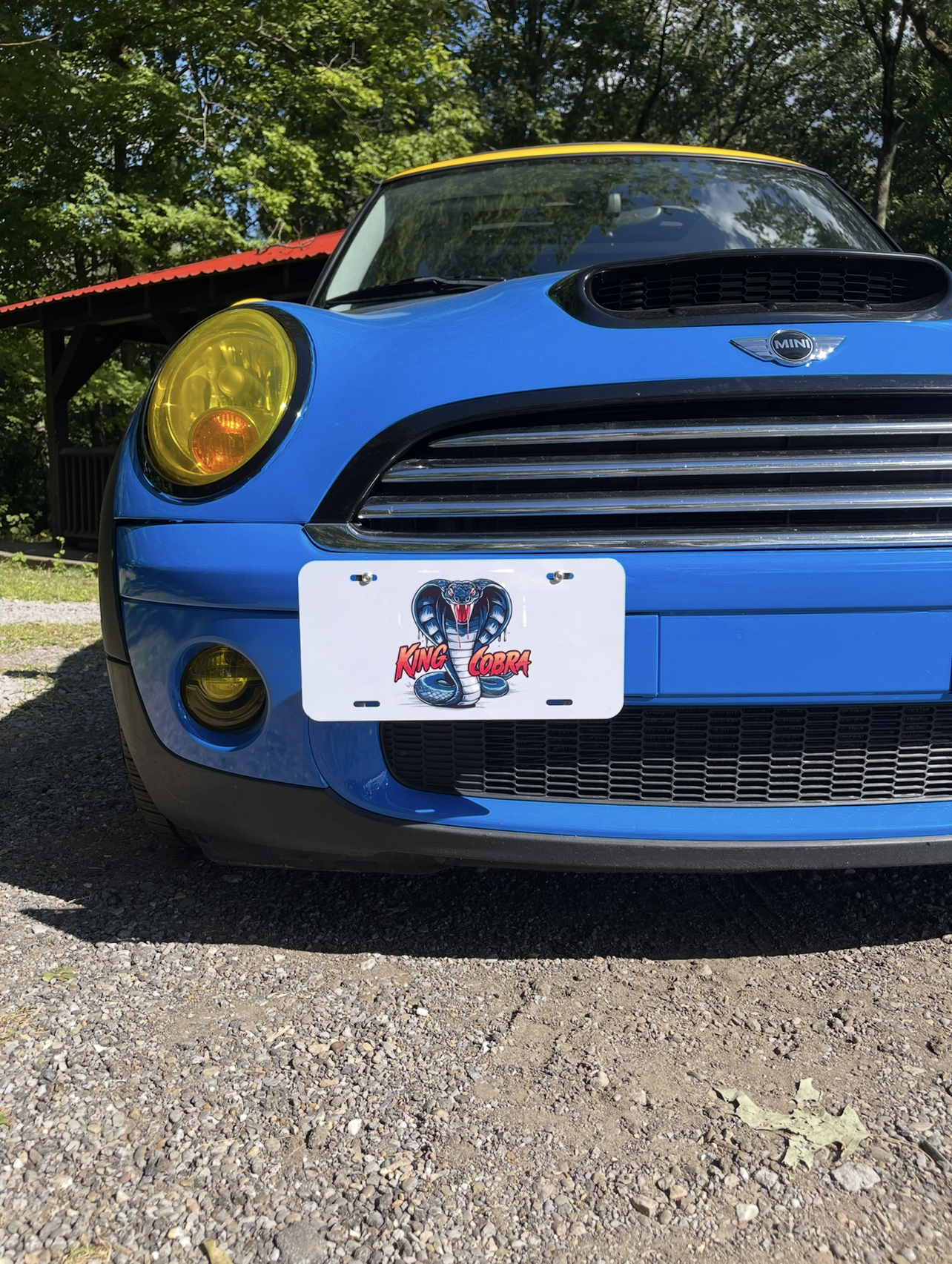 Cobra