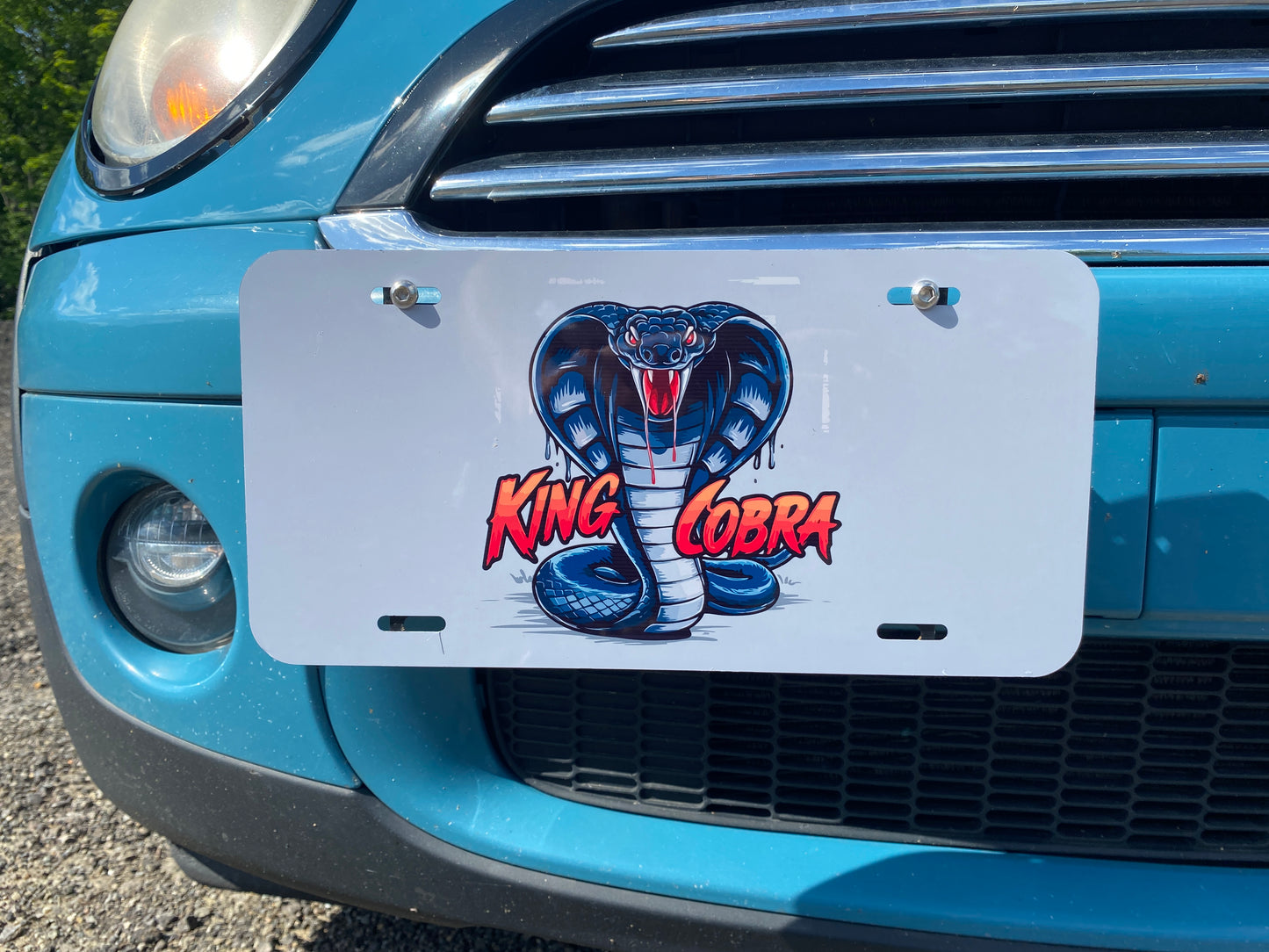 Custom Car Plates